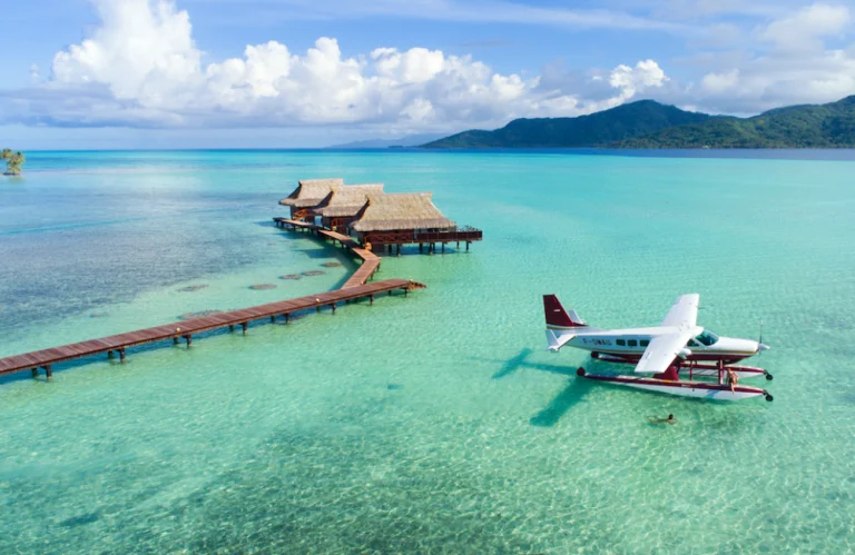 Saeplane-for-Sale-Philippines.webp