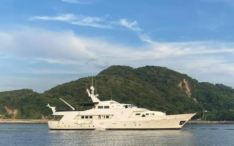 Aegis image 2