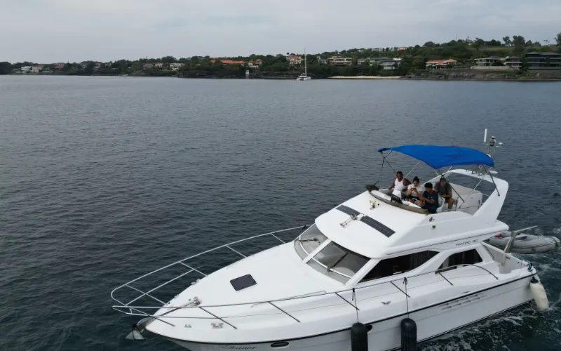 Princess Flybridge Image (13)