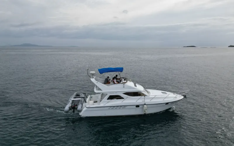Princess Flybridge Image (8)