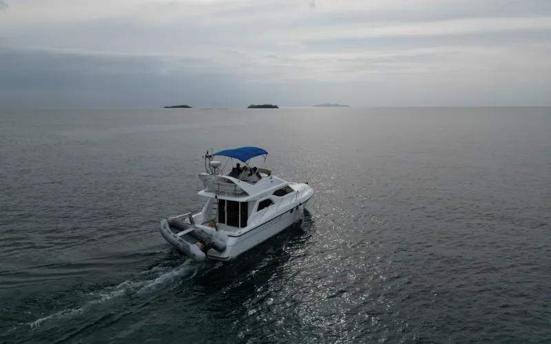 Princess Flybridge Image (9)