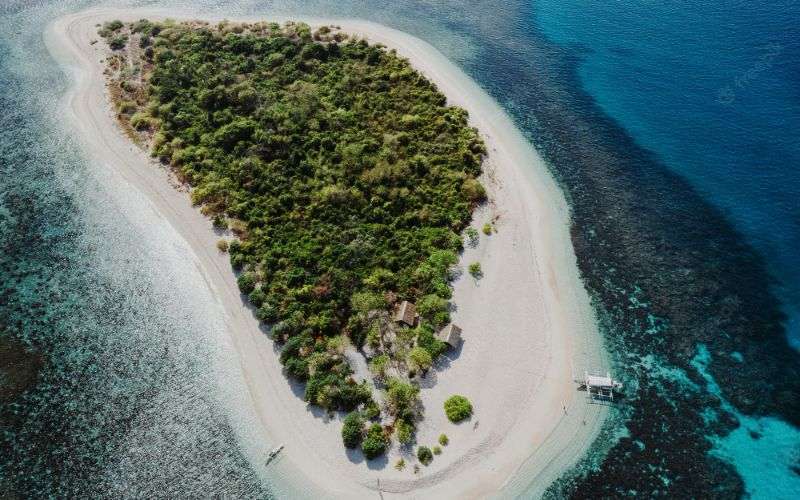 pamalican-island-philippines-coron-province-aerial-shot-from-drone-about-vacation-travel-tropical-places_186382-5558 (1)