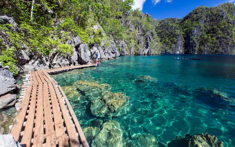 Barracuda Kayangan Lakes Coron (10)