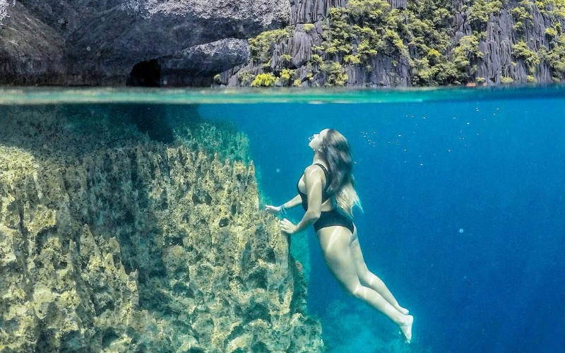 Barracuda Kayangan Lakes Coron (3)