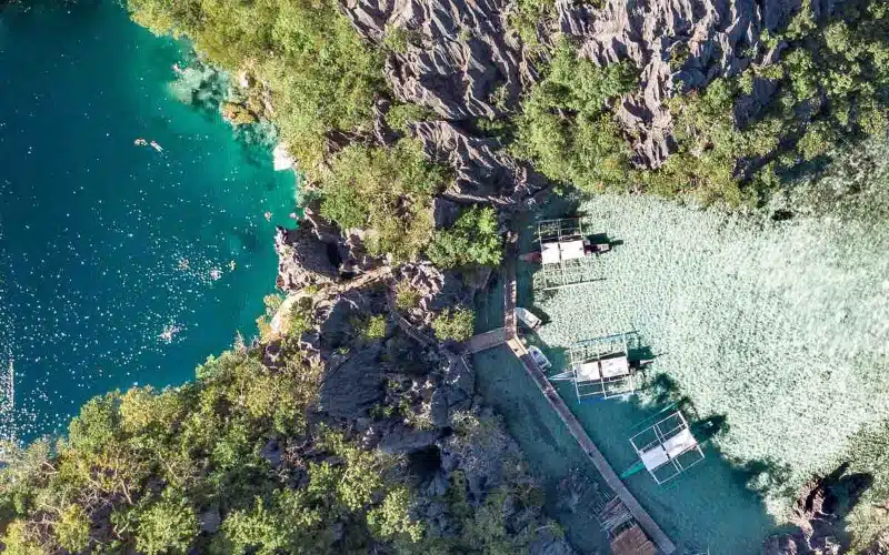 Barracuda Kayangan Lakes Coron (5)