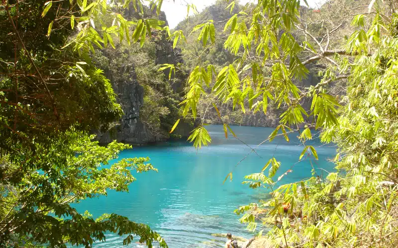 Barracuda Kayangan Lakes Coron (6)