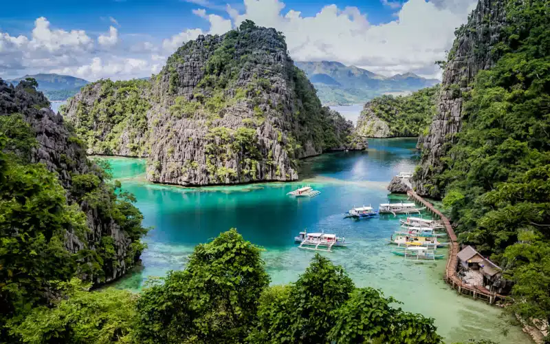 Barracuda Kayangan Lakes Coron (7)