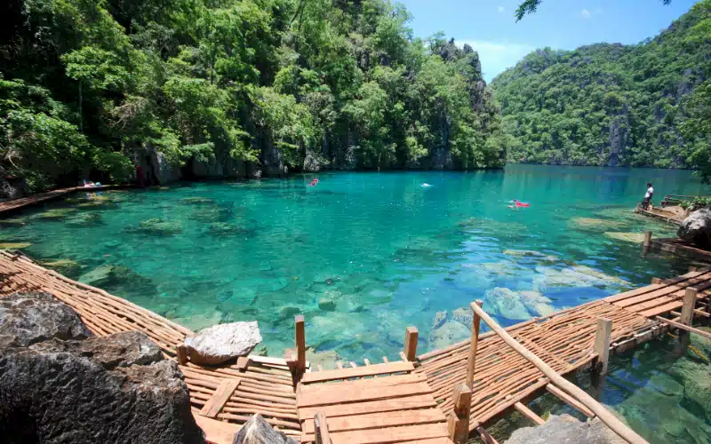 Barracuda Kayangan Lakes Coron (8)