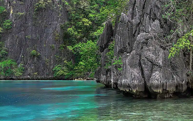 Barracuda Kayangan Lakes Coron (9)