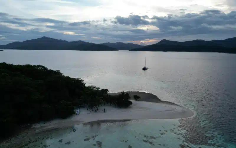 Bamboo island