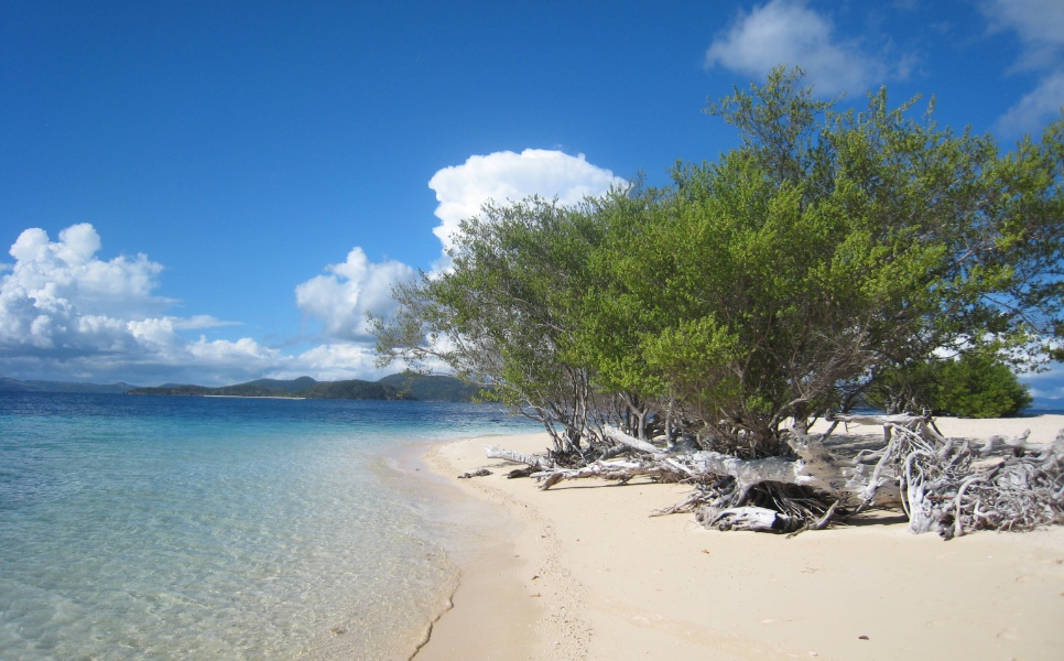 Banana Island Coron (3)