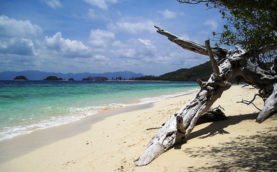 Banana Island Coron (4)