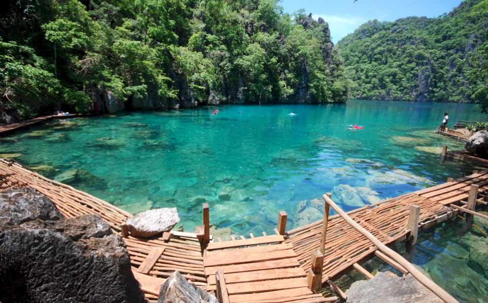 Barracuda Kayangan Lakes Coron (8)