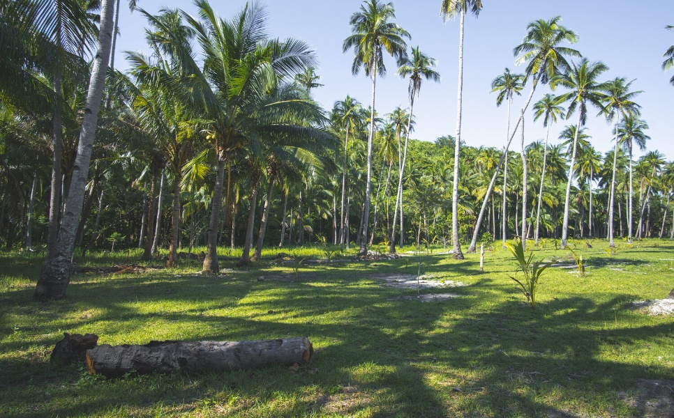 Lalutaya Island Tour (5)