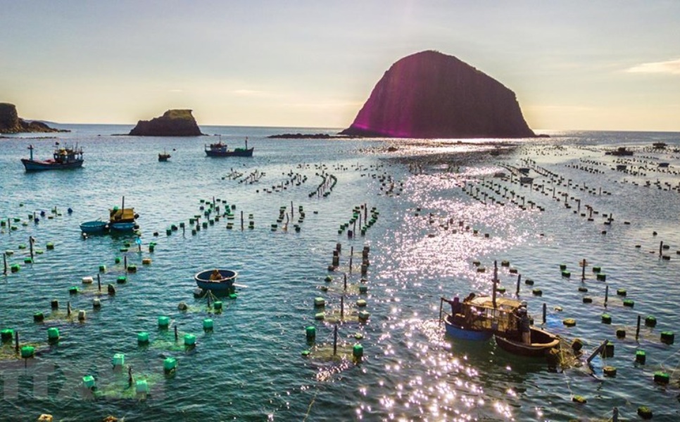 Lobster Farm Liminangcong (4)