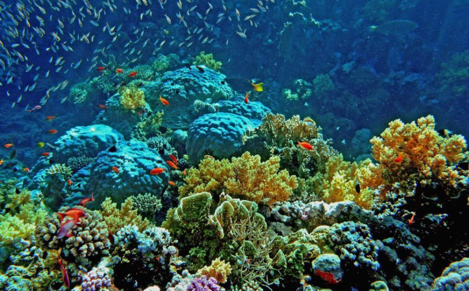 Lusong Wreck Diving (1)