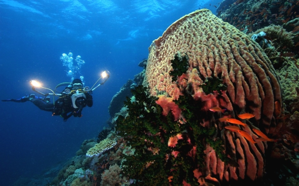 Lusong Wreck Diving (2)