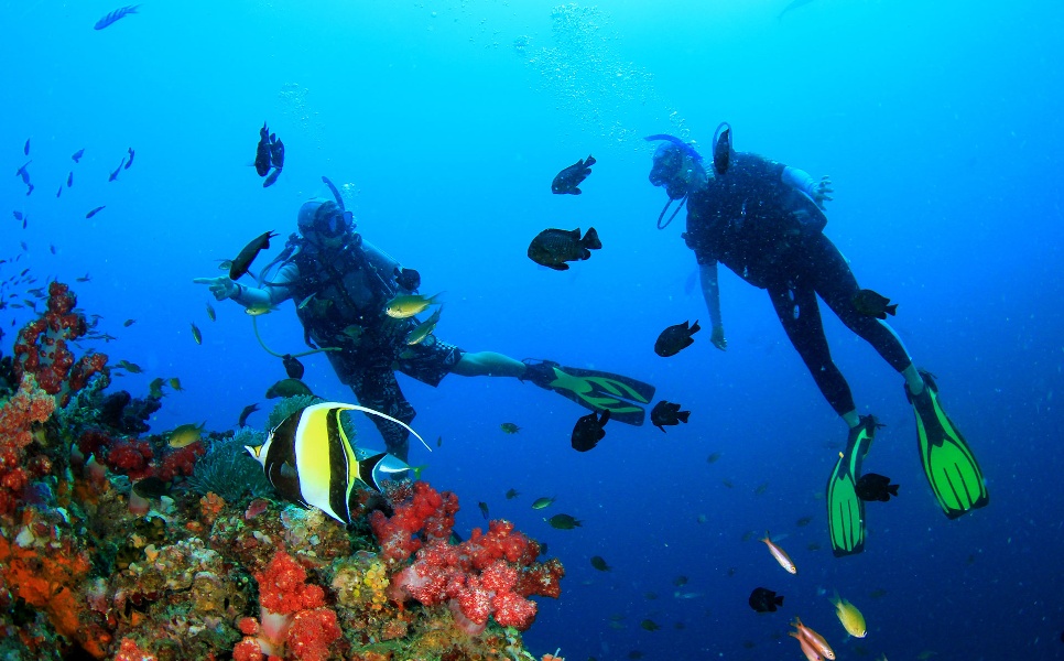 Lusong Wreck Diving (6)