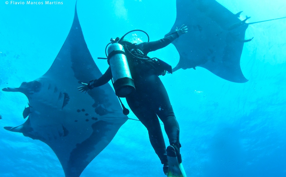 Sibaltan Manta Ray Diving (1) (2)