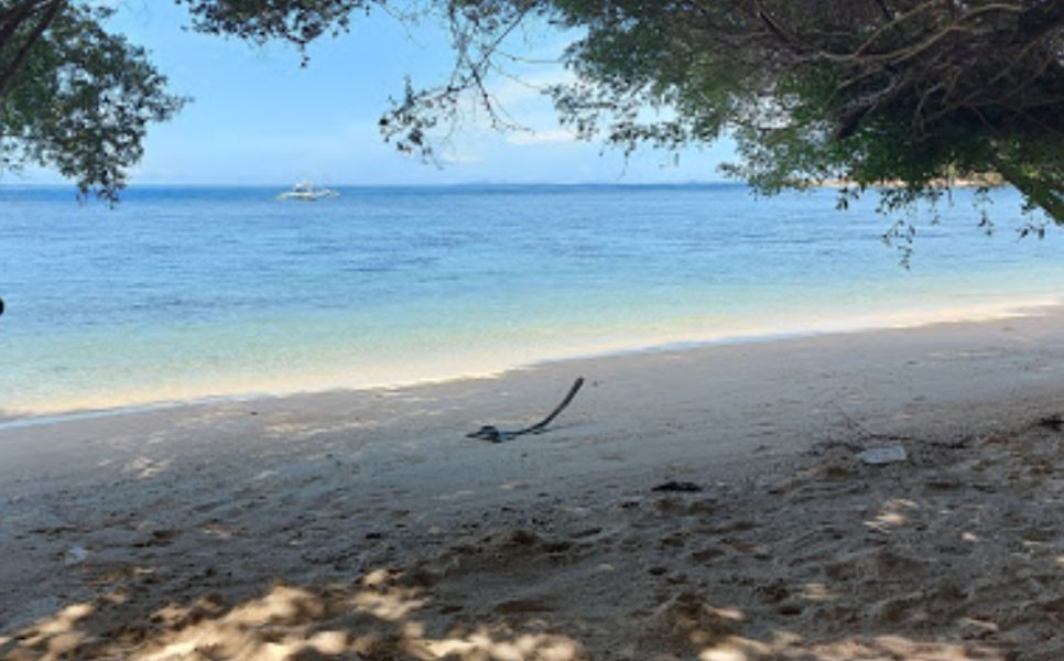 Eli island (1)