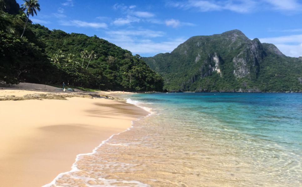 guntao (1)