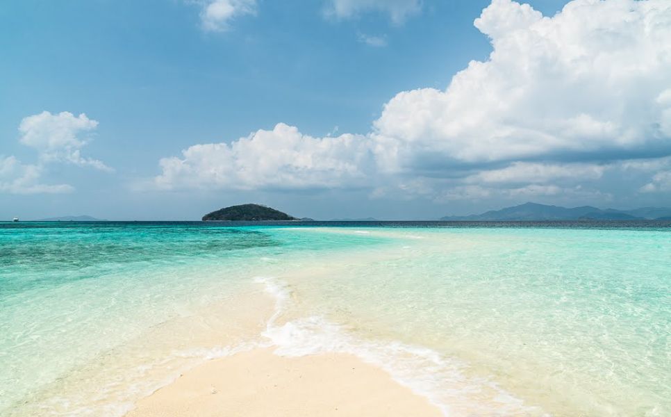 Malacory Island - waling waling (1)