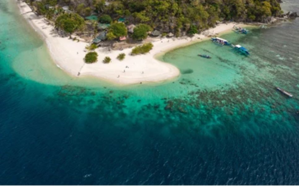 Malacory Island - waling waling2 (1)