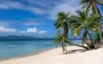 Palawan Island Safari - Image 2