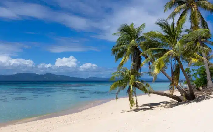 Palawan Island Safari - Image 2