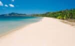 Palawan Island Safari - Image 6