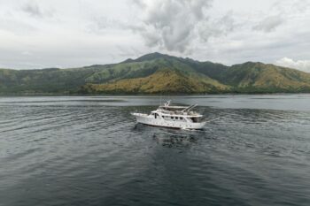 Benetti Navetta 26d 1973 for Sale - Image 2