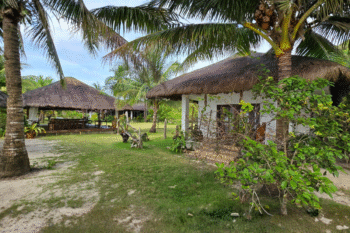 San Nicolas Private Beach - Image 8