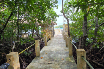 San Nicolas Private Beach - Image 15