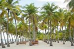 Bohol Beach Club - Image 6