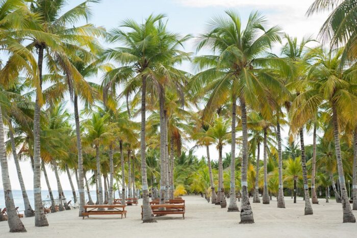 Bohol Beach Club - Image 6