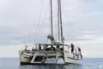 Wharram Tiki 46