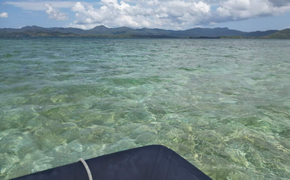 Dibuluan-Island-1-1.jpg