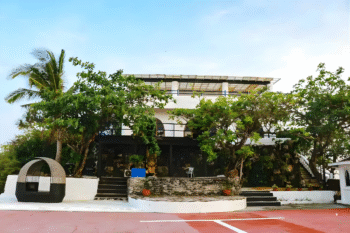 Anilao Batangas Island - Image 12