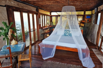 Brother Island - Image 9