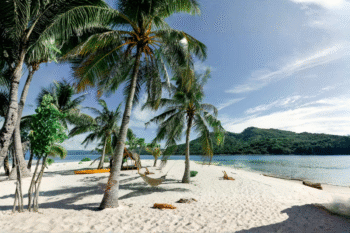 Brother Island - Image 2