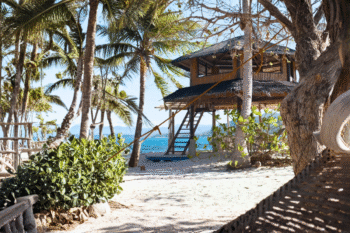 Brother Island - Image 3