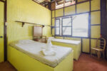 Brother Island - Image 6