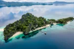 Aerial shot of Floral Island Resort, featuring the prestine waters surrounding this breathtaking island in Palawan.