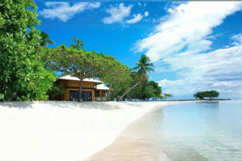 Island Buenavista Resort - Image 4