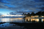 Island Buenavista Resort - Image 13
