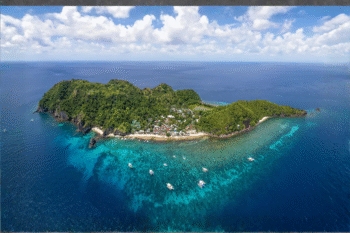 Apo Island & Dumaguete Scuba Dives - Image 5