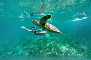 Debangan Island - Image 3