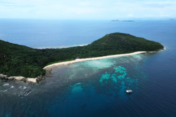 Dimanglet Private Island - Image 7