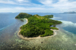 Dimanglet Private Island
