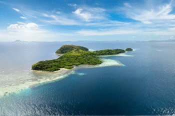 Dimanglet Island Coron - Image 4